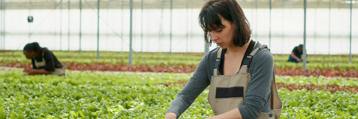 O que devem os empregadores ter em conta quando destacam um trabalhador de um país terceiro?